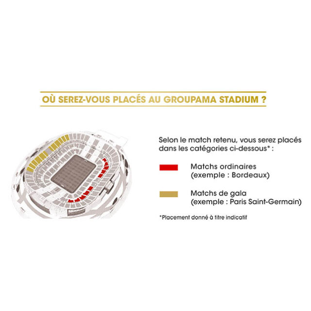 Coffret Cadeau Olympique Lyonnais - 2 Places Pour Un Match à Domicile - Tribune Supporters - Valable 24 Mois
